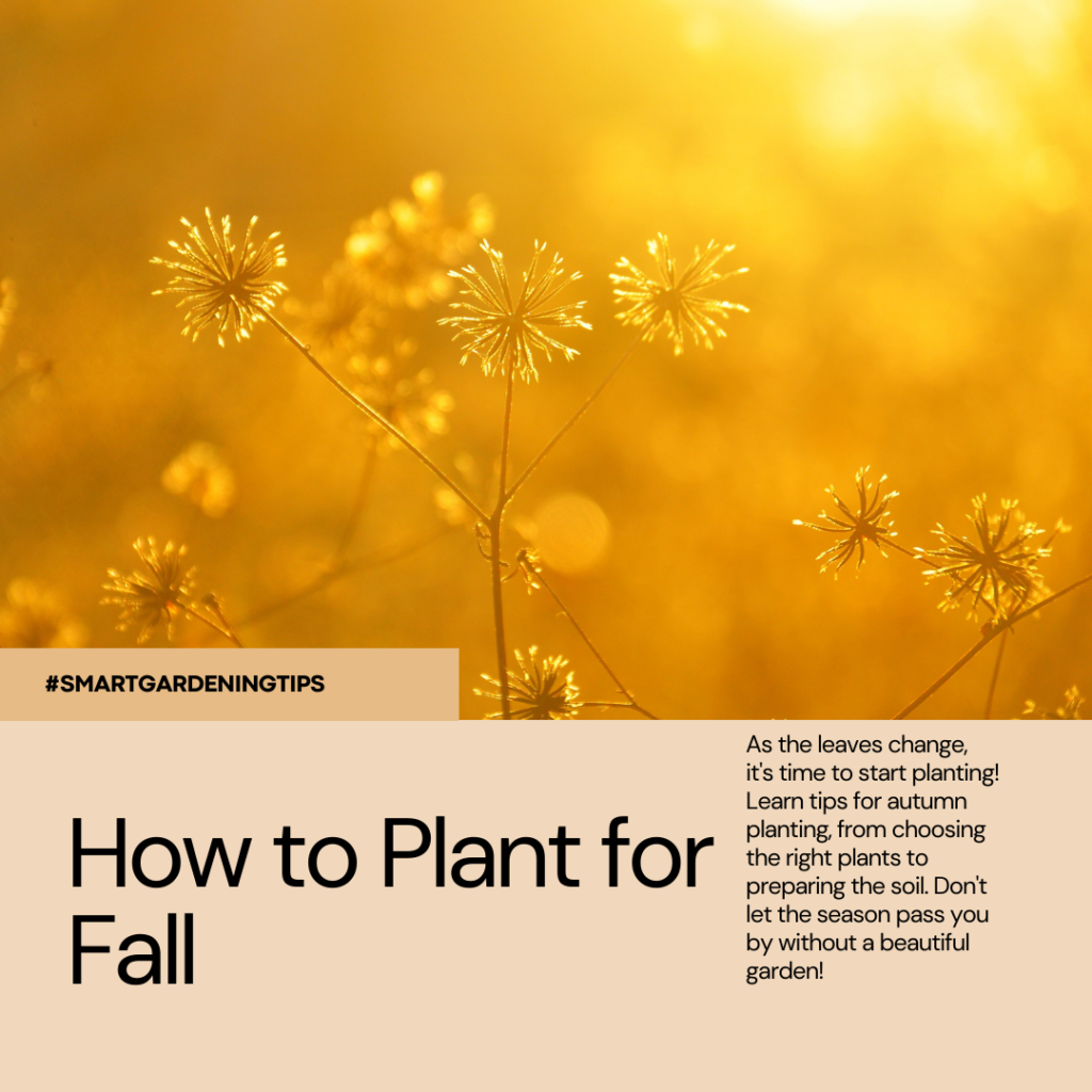 As the leaves change, it's time to start planting! Learn tips for autumn planting, from choosing the right plants to preparing the soil. Don't let the season pass you by without a beautiful garden!