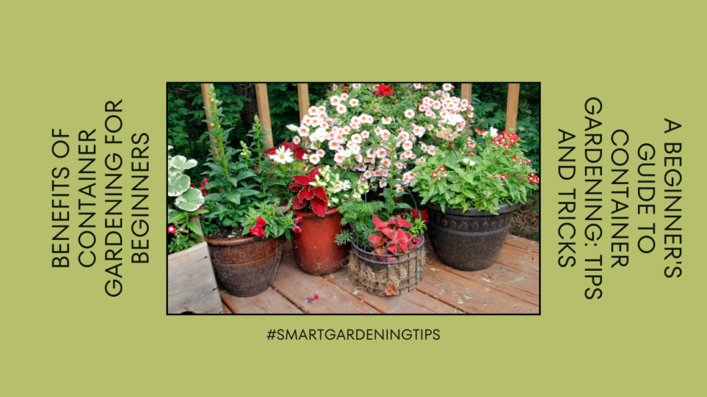 Discover the benefits and ease of growing plants in containers.