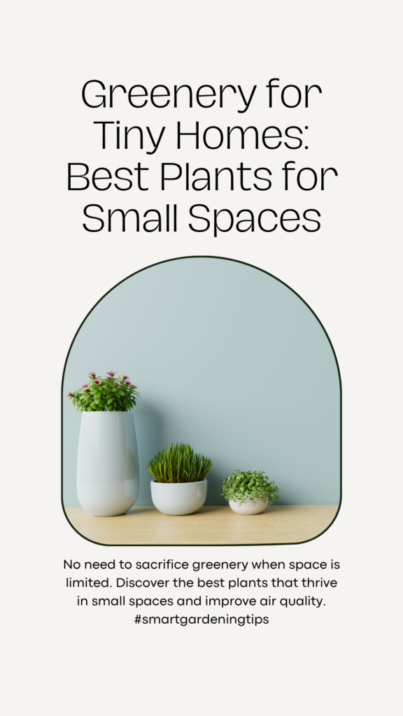 No need to sacrifice greenery when space is limited. Discover the best plants that thrive in small spaces and improve air quality.
