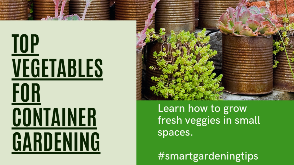 Learn how to grow fresh veggies in small spaces.
