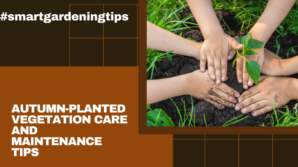 Autumn-Planted Vegetation Care and Maintenance Tips