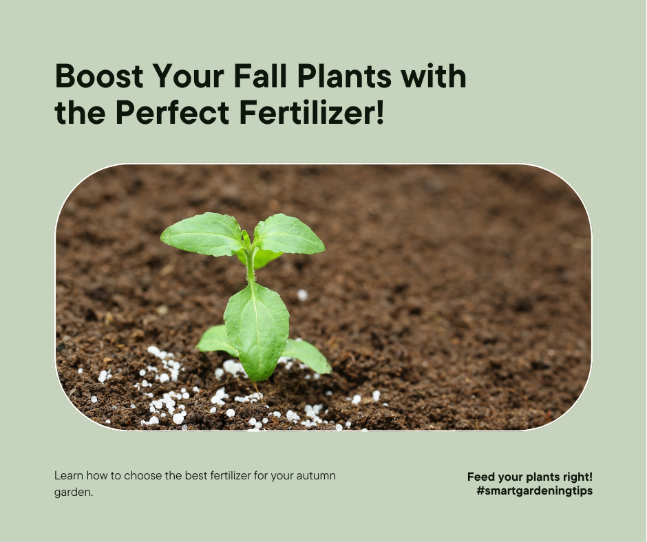 Learn how to choose the best fertilizer for your autumn garden.