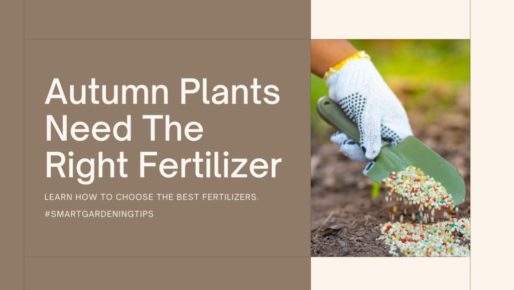 Learn how to choose the best fertilizers.

