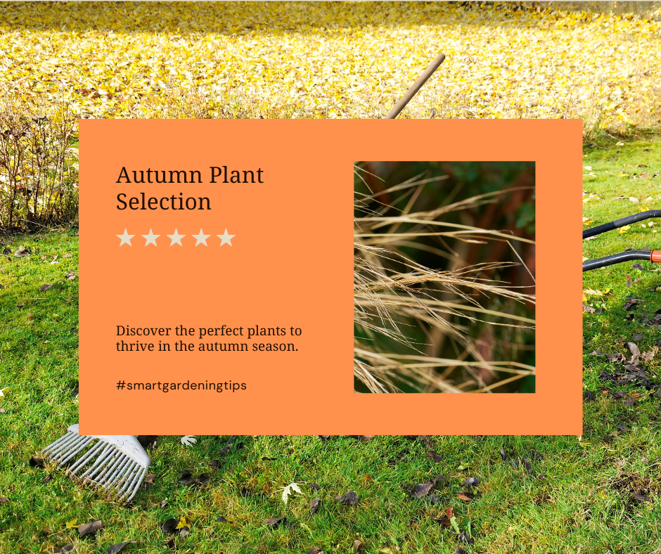 Discover the perfect plants to thrive in the autumn season.