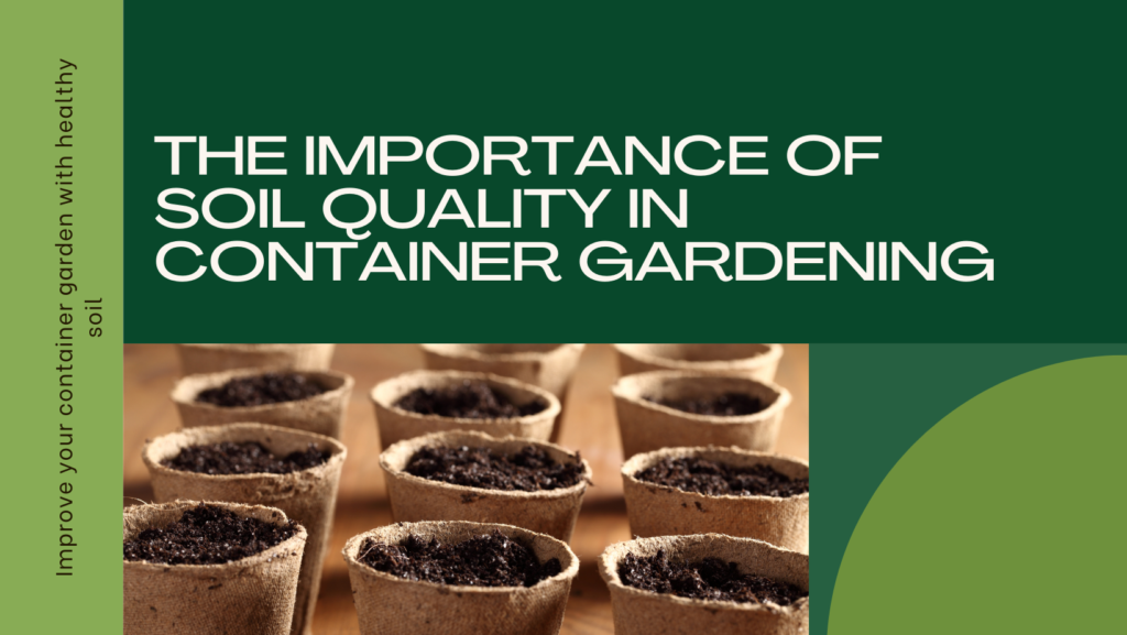 Improve your container garden with healthy soil