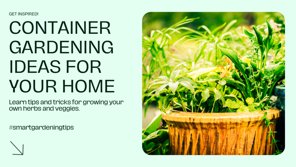 Learn tips and tricks for growing your own herbs and veggies.
