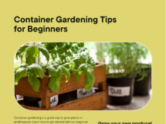 Container gardening is a great way to grow plants in small spaces. Learn how to get started with our beginner tips.