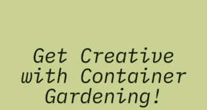 Learn to create a beautiful garden in small spaces.