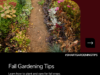 Learn how to start your very own garden this fall season.