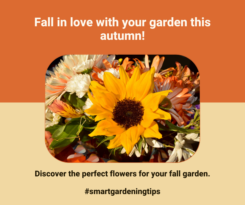 Discover the perfect flowers for your fall garden.