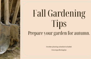 learn how to Prepare your garden for autumn.