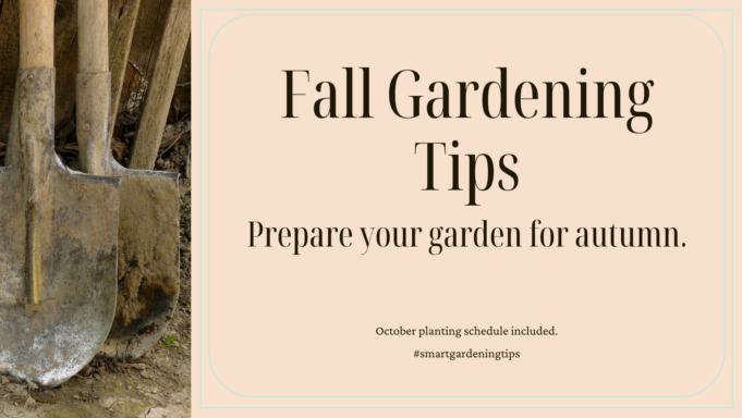 learn how to Prepare your garden for autumn.