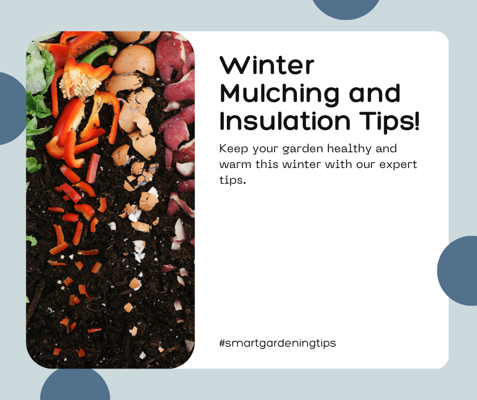 Keep your garden healthy and warm this winter with our expert tips.