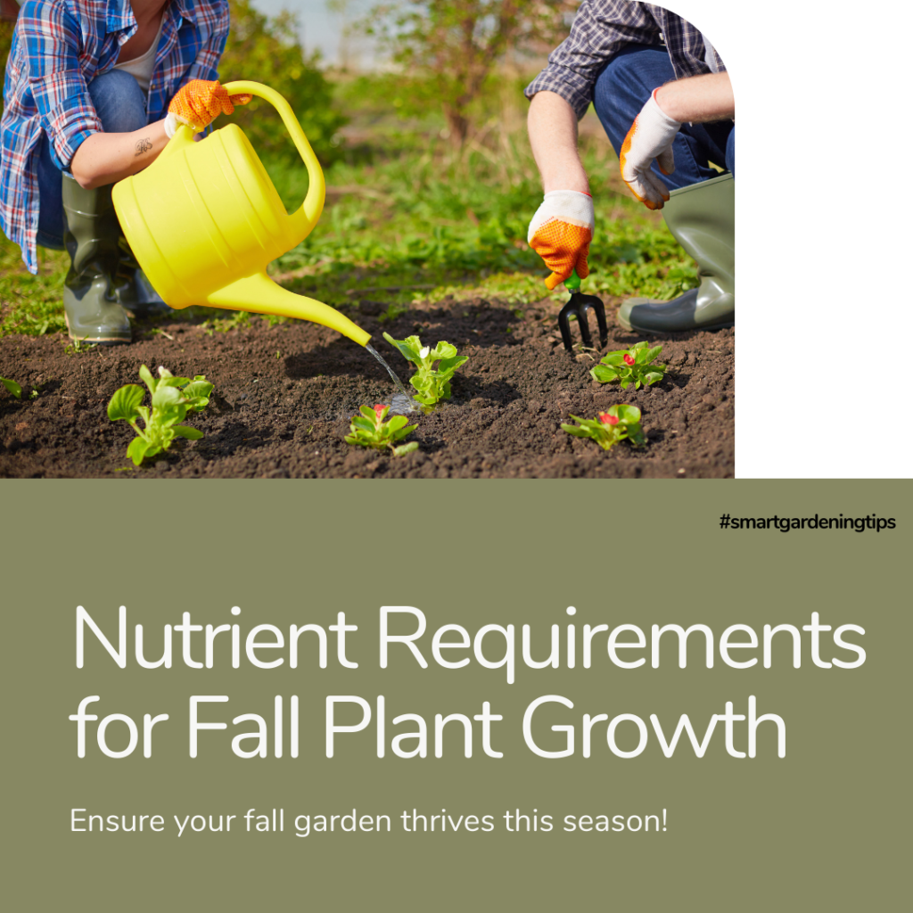 Nutrient Requirements for Fall Plant Growth