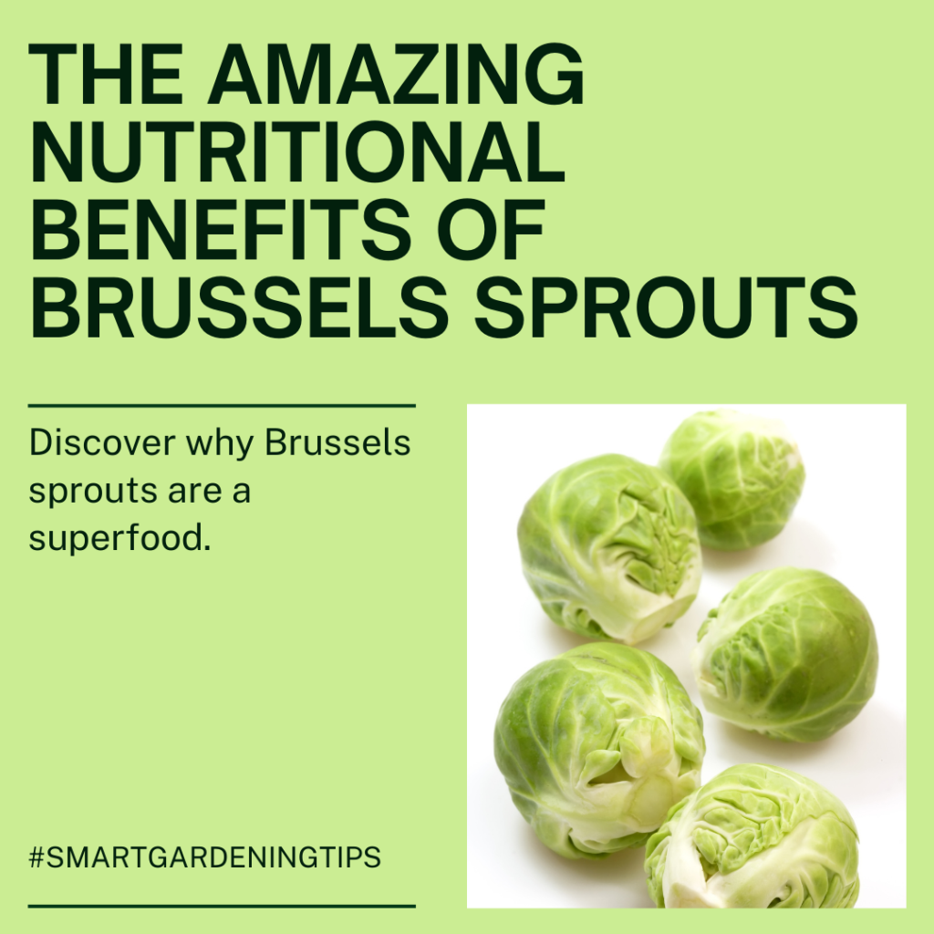 Discover why Brussels sprouts are a superfood.