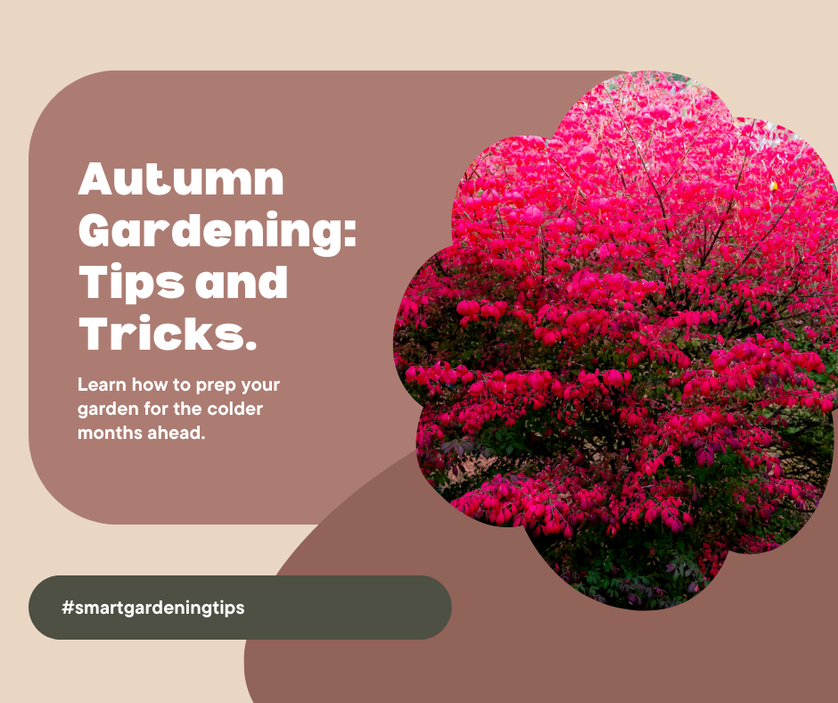 Learn how to prep your garden for the colder months ahead.
