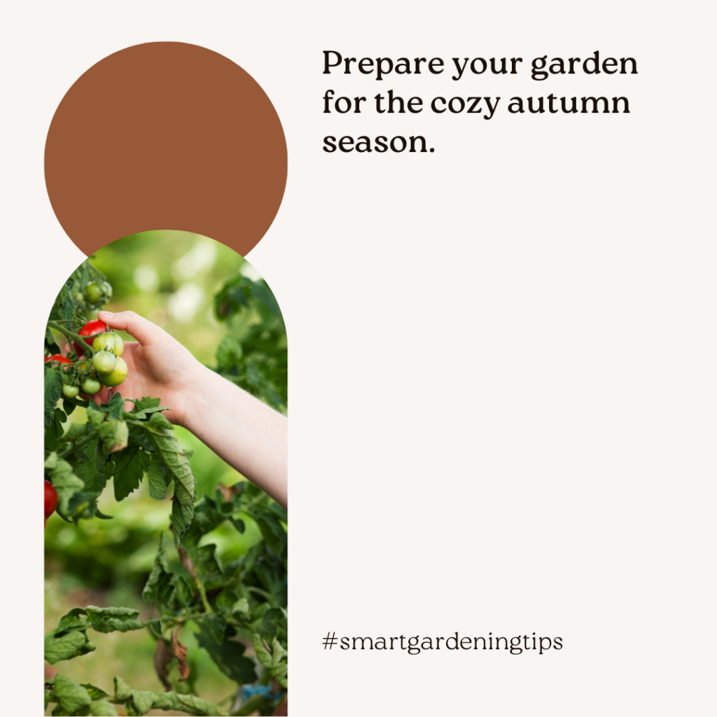 Prepare your garden for the cozy autumn season.