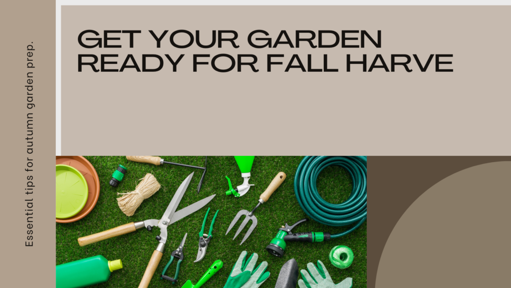Tips and tricks for a successful autumn garden.