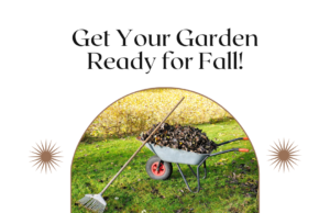 Learn how to get your garden ready for fall.