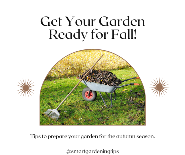 Learn how to get your garden ready for fall.