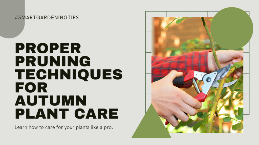 Proper Pruning Techniques for Autumn Plant Care