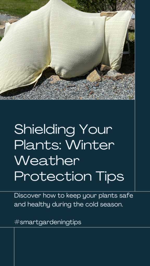 Discover how to keep your plants safe and healthy during the cold season.

