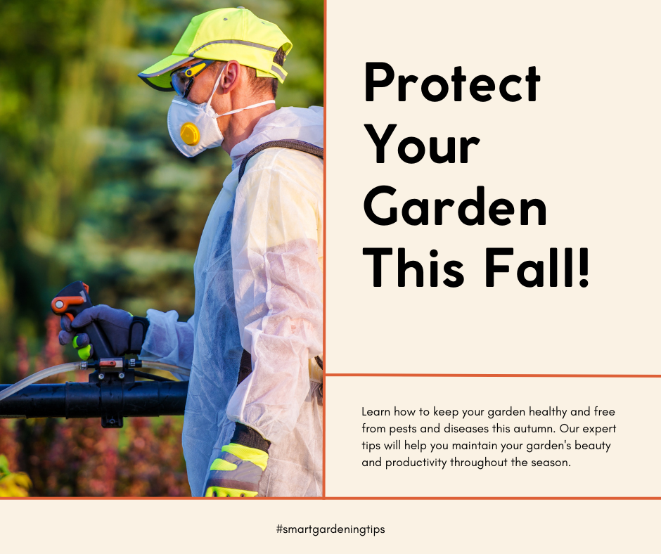 Learn how to keep your garden healthy and free from pests and diseases this autumn. Our expert tips will help you maintain your garden's beauty and productivity throughout the season.