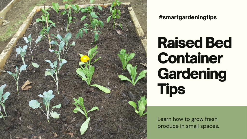 Learn how to grow fresh produce in small spaces.