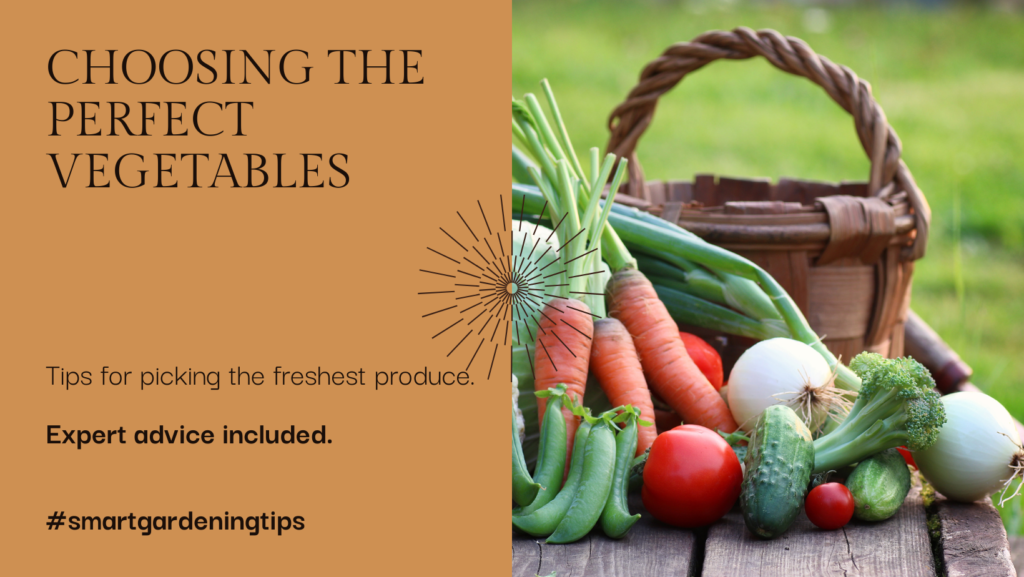 learn how to Choose the Perfect Vegetables