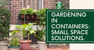 Learn how to create your own urban garden with our expert tips.