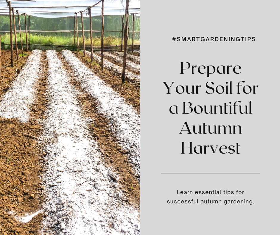 Prepare Your Soil for a Bountiful Autumn Harvest