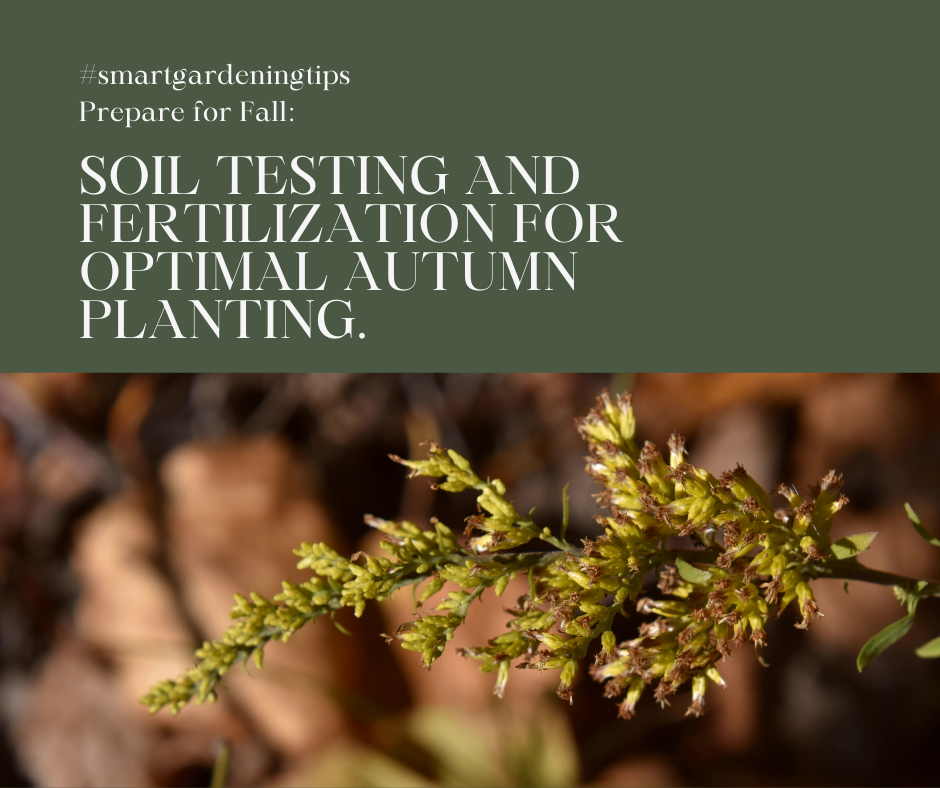 Proper soil testing provides valuable insight into the nutrient composition and pH levels of your soil, allowing you to make informed decisions about fertilization and plant selection.