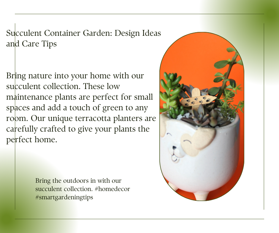 Bring nature into your home with our succulent collection. These low maintenance plants are perfect for small spaces and add a touch of green to any room. Our unique terracotta planters are carefully crafted to give your plants the perfect home.
