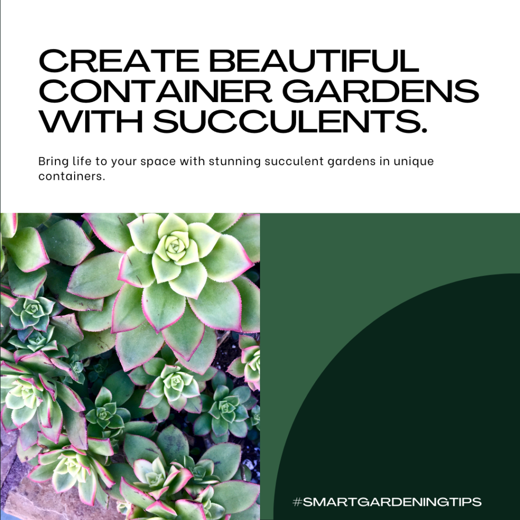 Bring life to your space with stunning succulent gardens in unique containers.