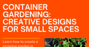 Learn how to create a stunning garden in limited space