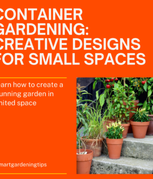 Learn how to create a stunning garden in limited space