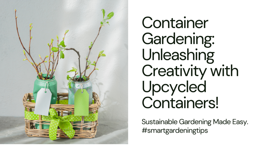 Container Gardening: Unleashing Creativity with Upcycled Containers!