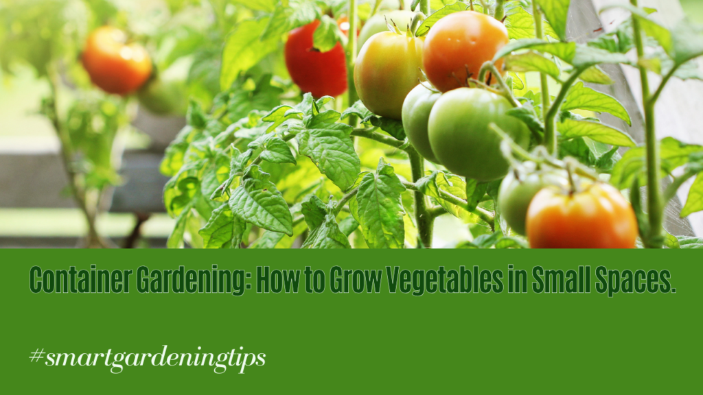 Learn How to Grow Vegetables in Small Spaces.