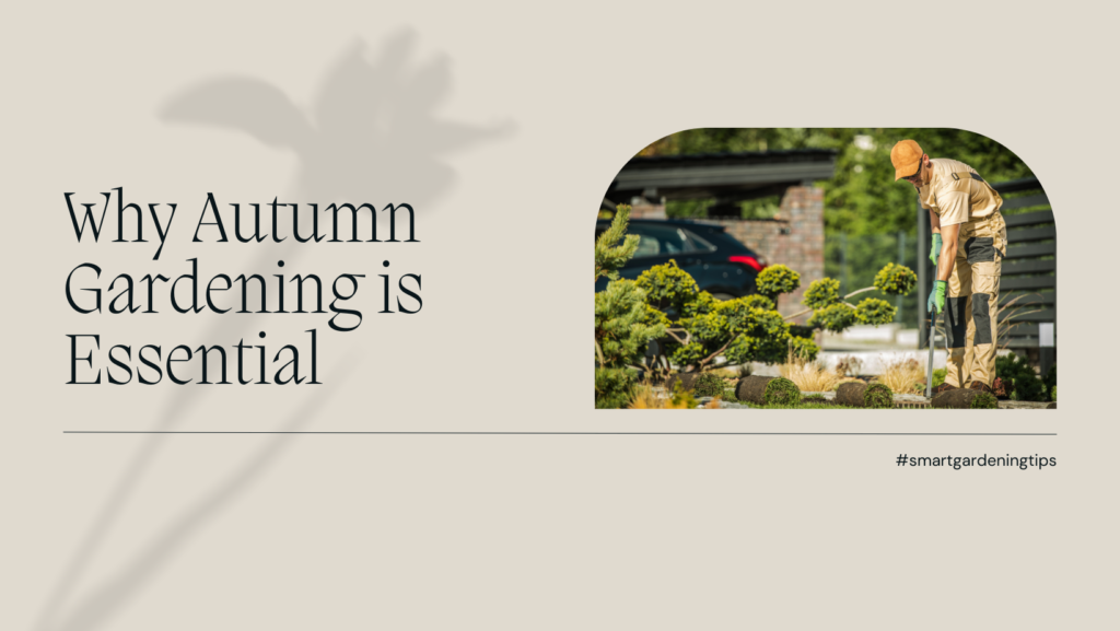 learn how autumn is an opportunity to foster plant health and ensure the longevity of your green space.
