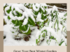 Grow Your Best Winter Garden