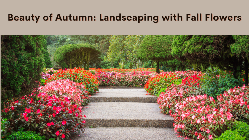 Beauty of Autumn: Landscaping with Fall Flowers