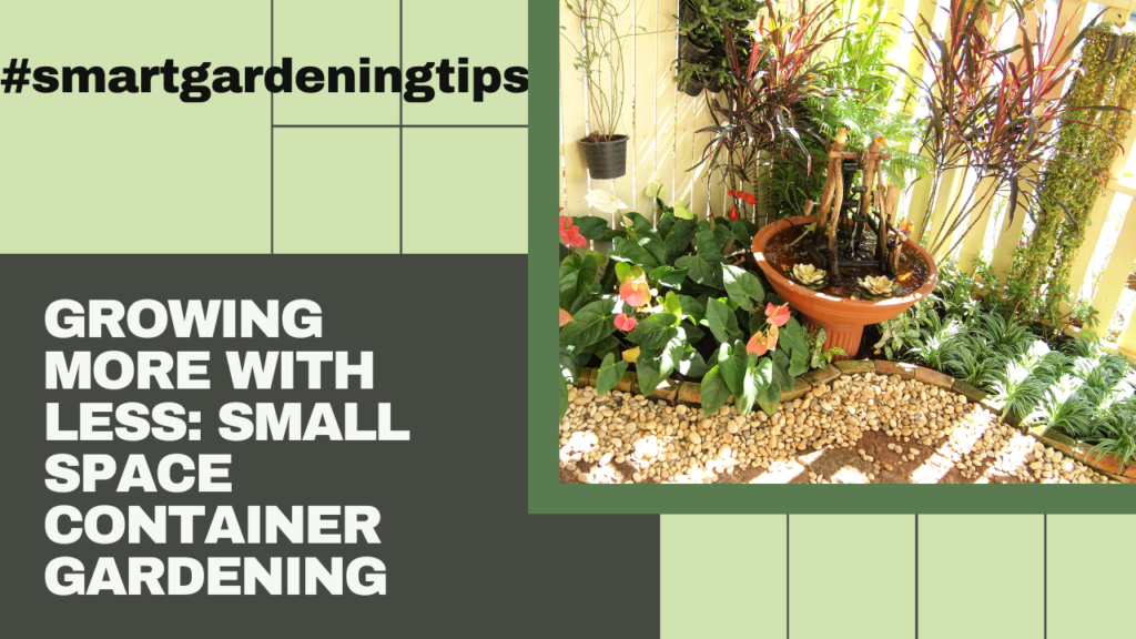 Small space gardening is not just possible, but it's also rewarding. Join us on our journey to explore the benefits of container gardening solutions.