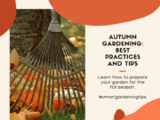 Learn how to prepare your garden for the fall season.
