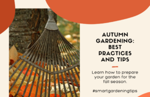 Learn how to prepare your garden for the fall season.