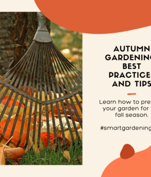 Learn how to prepare your garden for the fall season.
