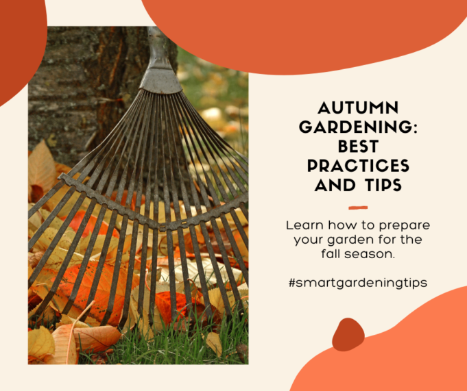 Learn how to prepare your garden for the fall season.
