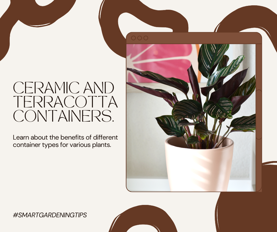 Learn about the benefits of different container types for various plants.