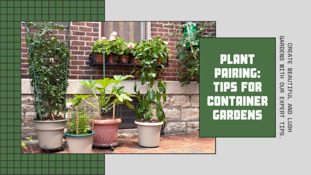 Create beautiful and lush gardens with our expert tips.