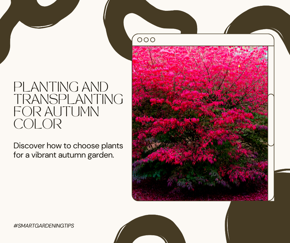 Discover how to choose plants for a vibrant autumn garden.