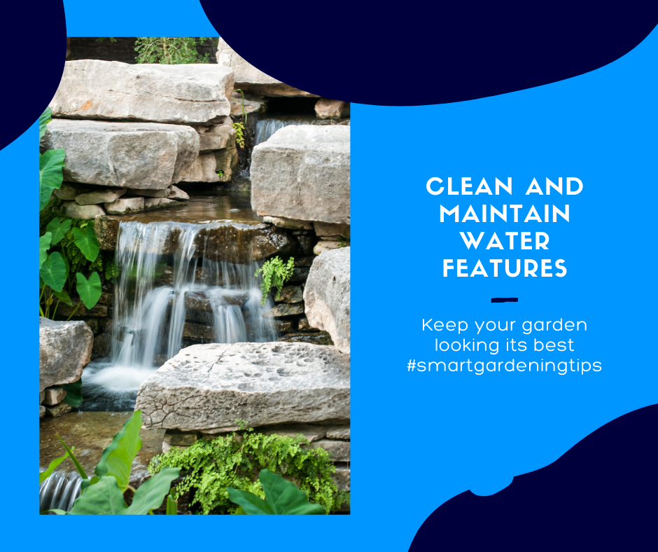 Clean and Maintain Water Features